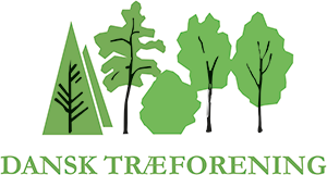 Dansk Træforening er partner på Build in Wood - Building Green