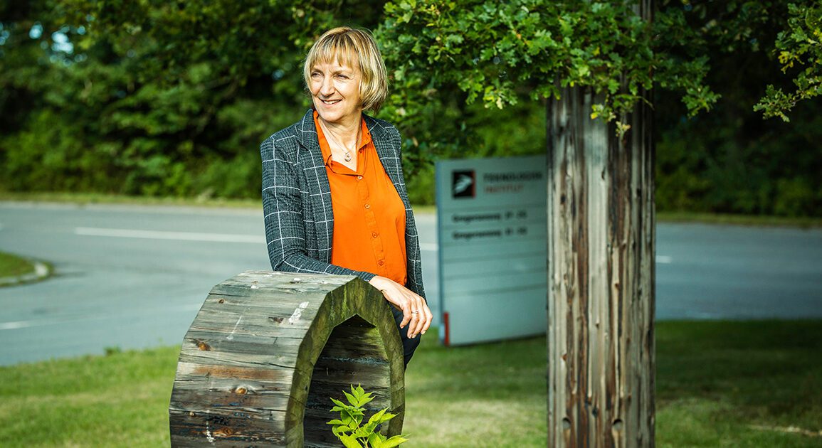 Politiske vinde blæser i byggebranchens retning
