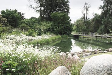Karen og Anne om natur og æstetik